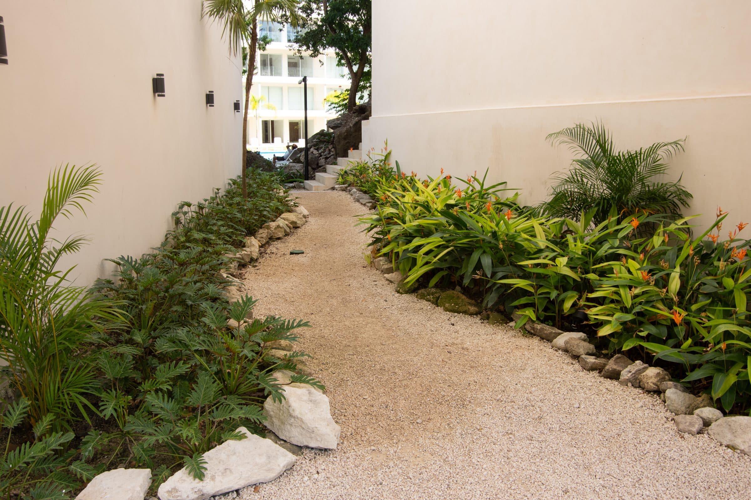 Tropical garden walkway within The Leaf Playacar community